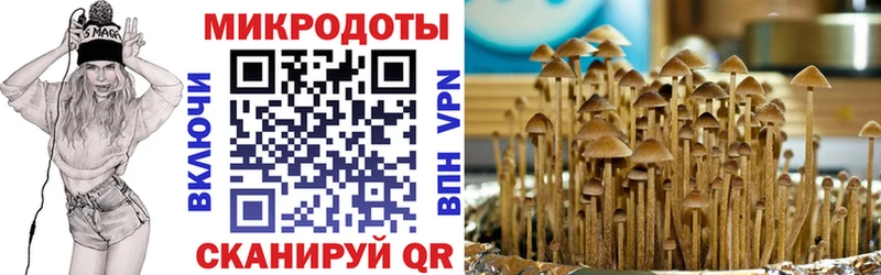 площадка Telegram  где найти наркотики  Нерехта  Псилоцибиновые грибы ЛСД 